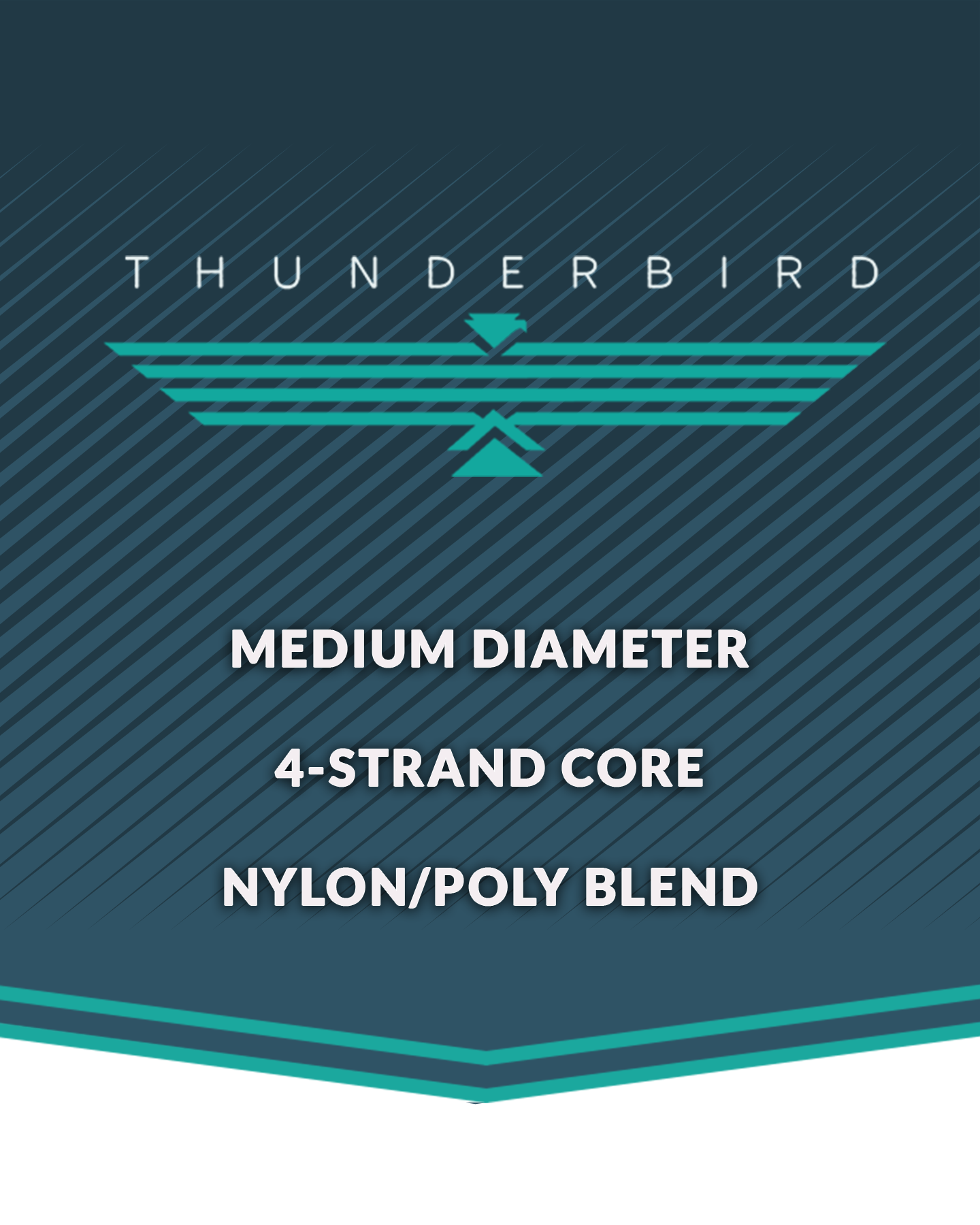 The Lone Star Thunderbird